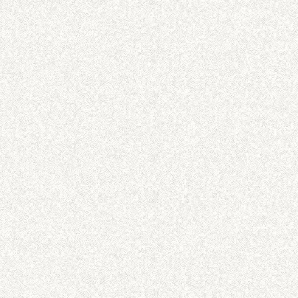 56067