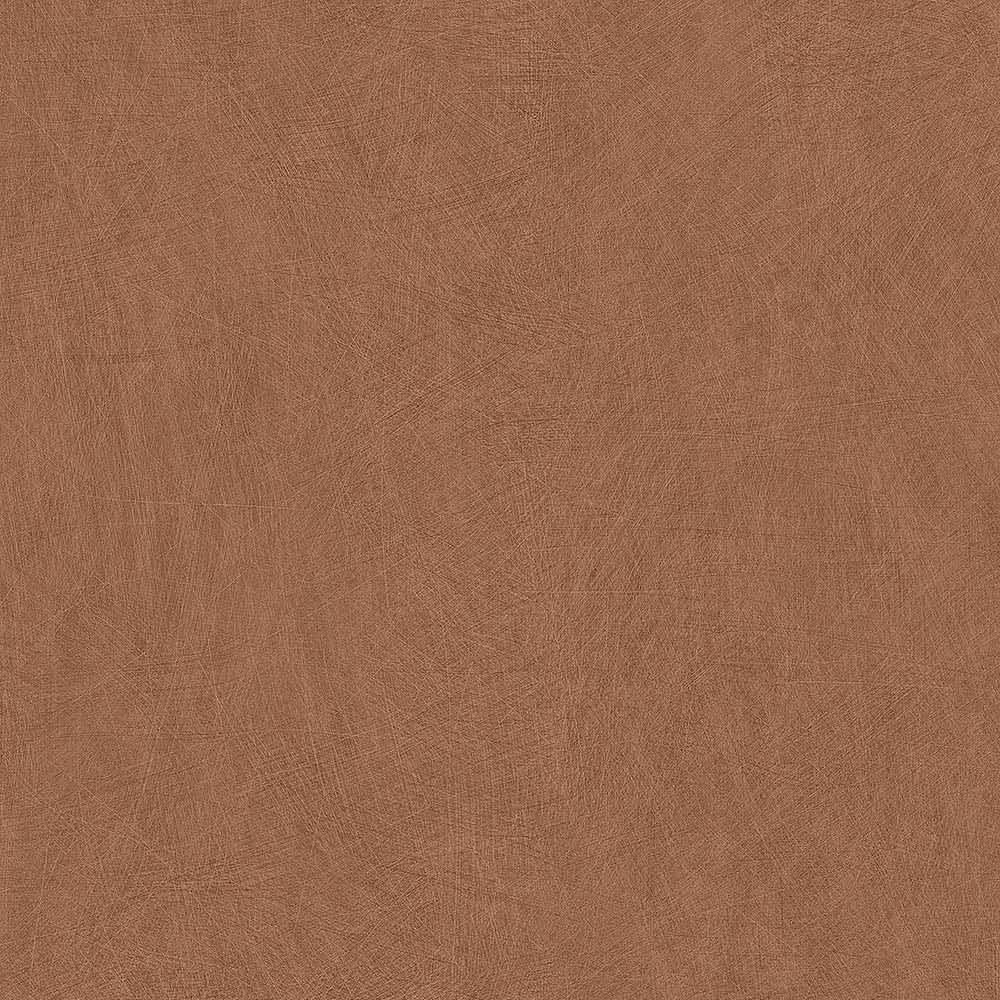 50079 50079