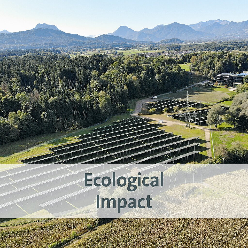 Ecological impact