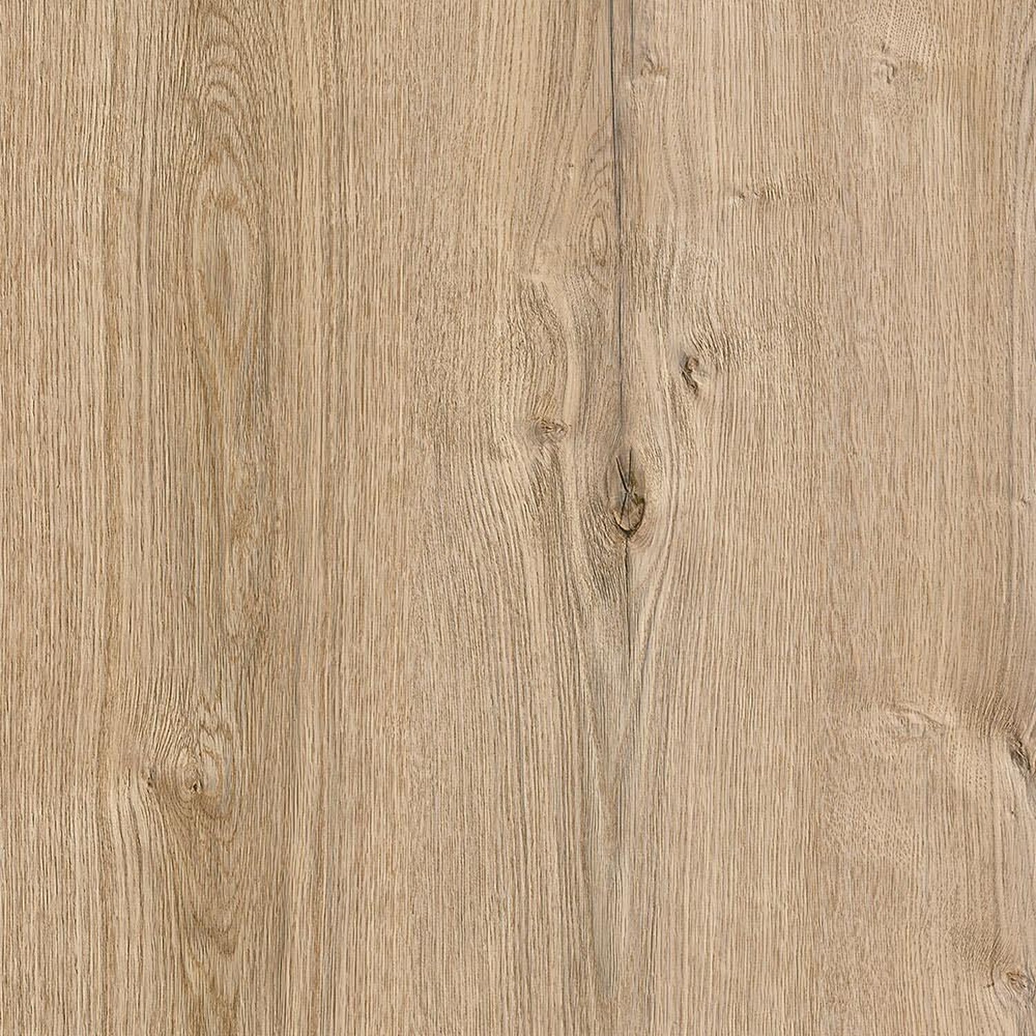Coastline Oak opt.