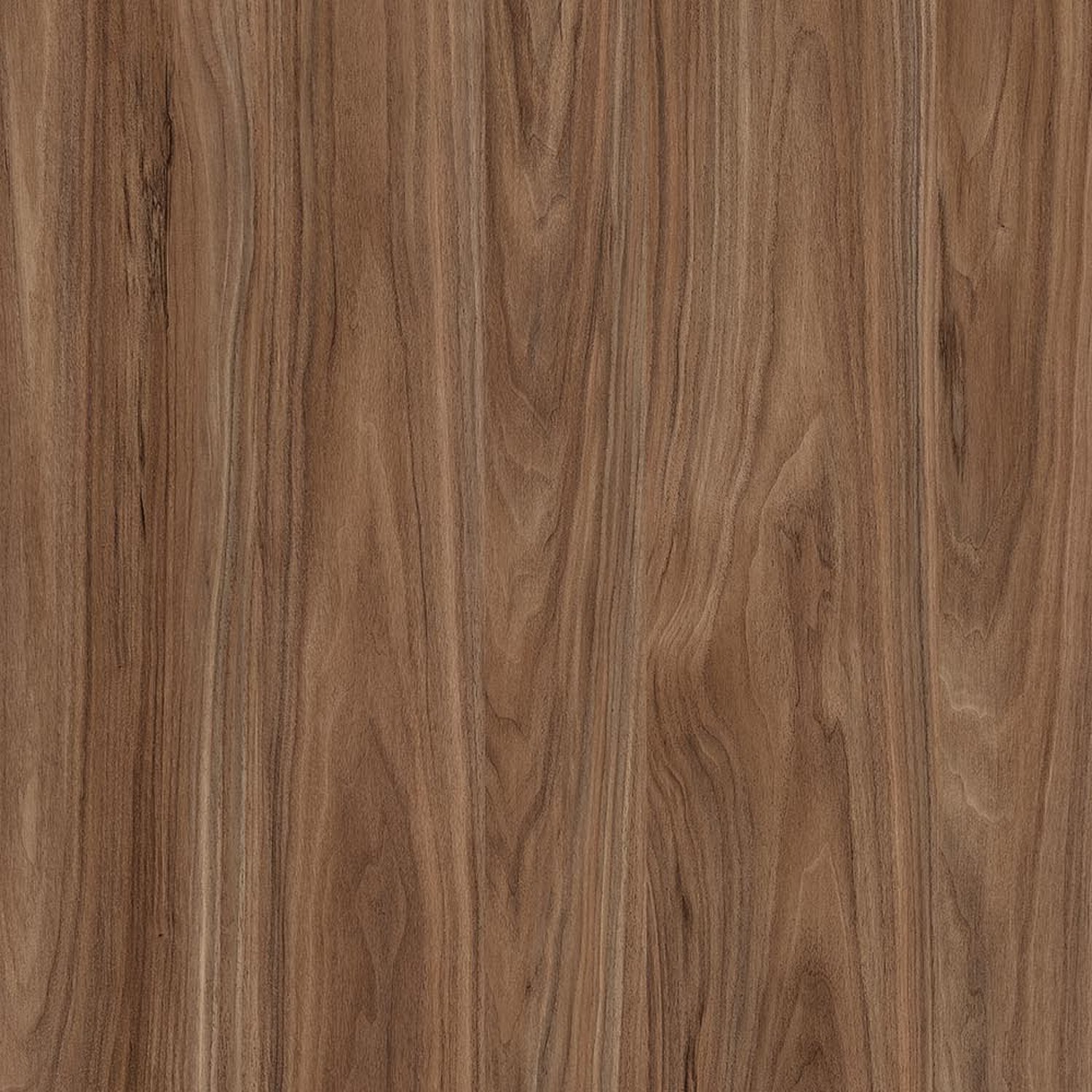 Bellinzona Walnut