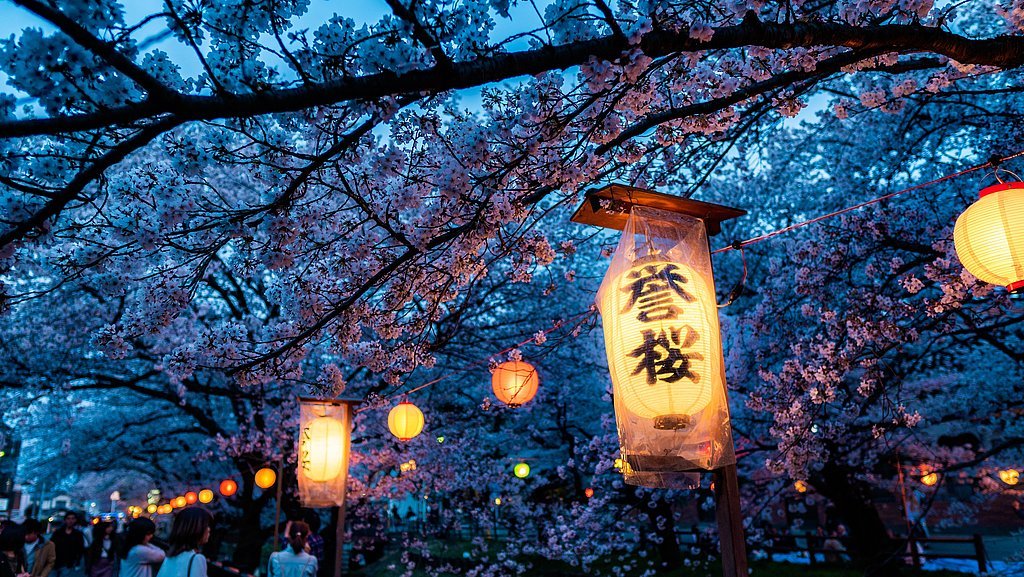 zhaoli-jin-e4I2ktXz5cA-unsplash.jpg zhaoli-jin-e4I2ktXz5cA-unsplash.jpg