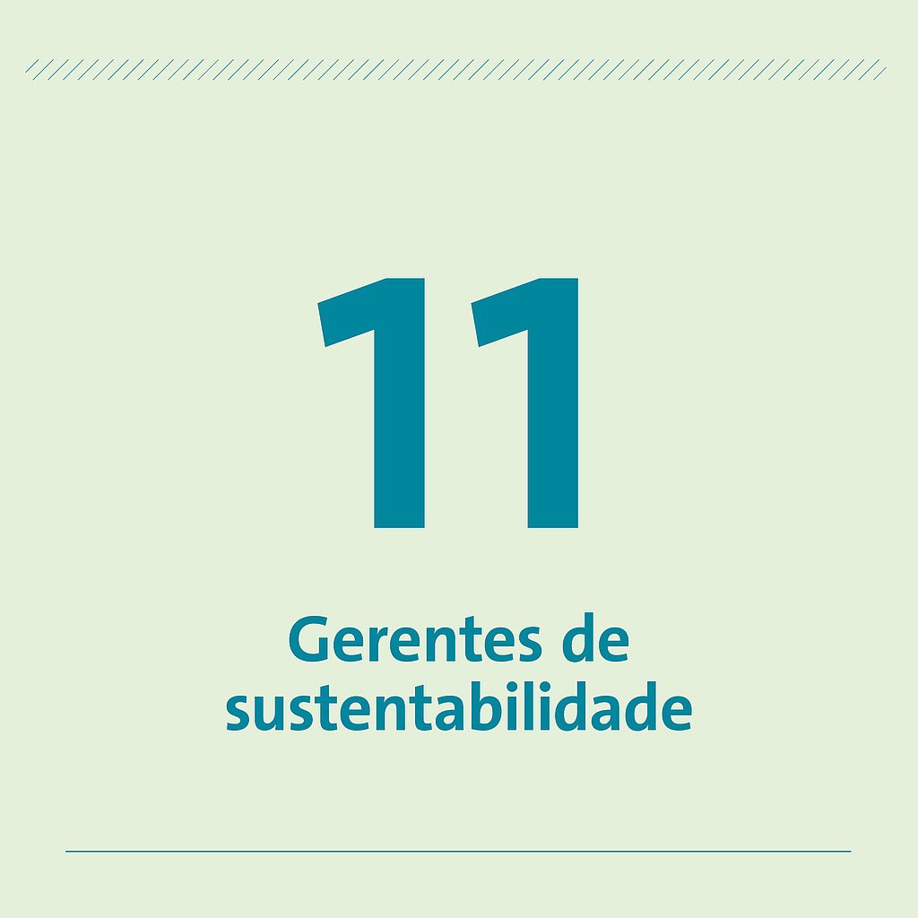 11 Gerentes de sustentabilidade 11 Gerentes de sustentabilidade