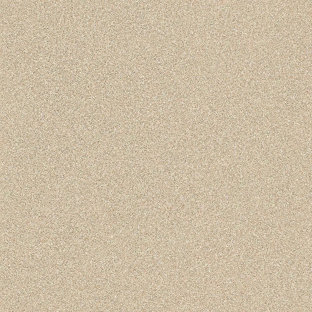 25020