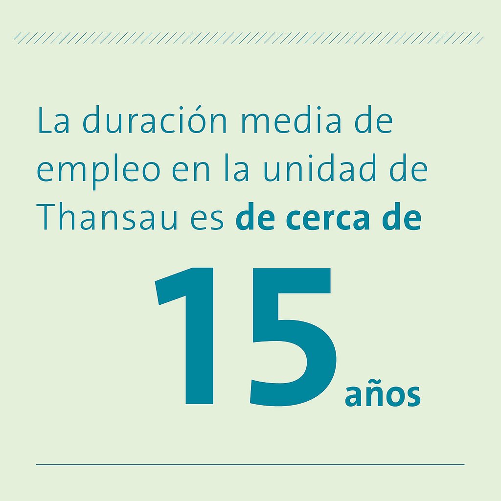 La duración media de empleo en la unidad de Thansau es de cerca de 15 años La duración media de empleo en la unidad de Thansau es de cerca de 15 años
