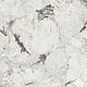 14-54255-003