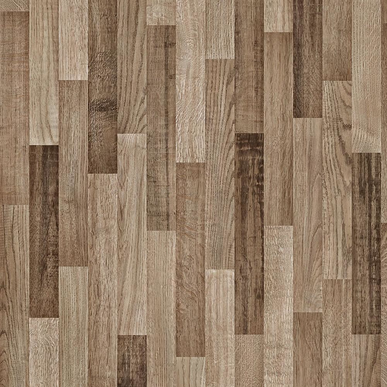 Ajaccio Oak
