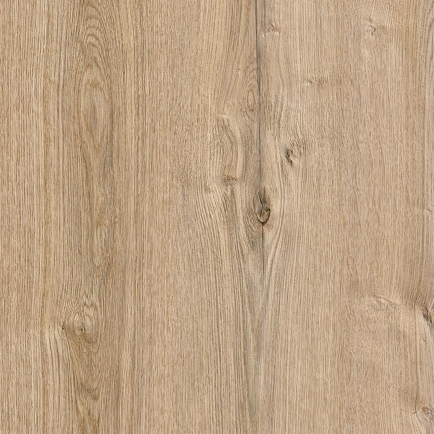 Coastline Oak