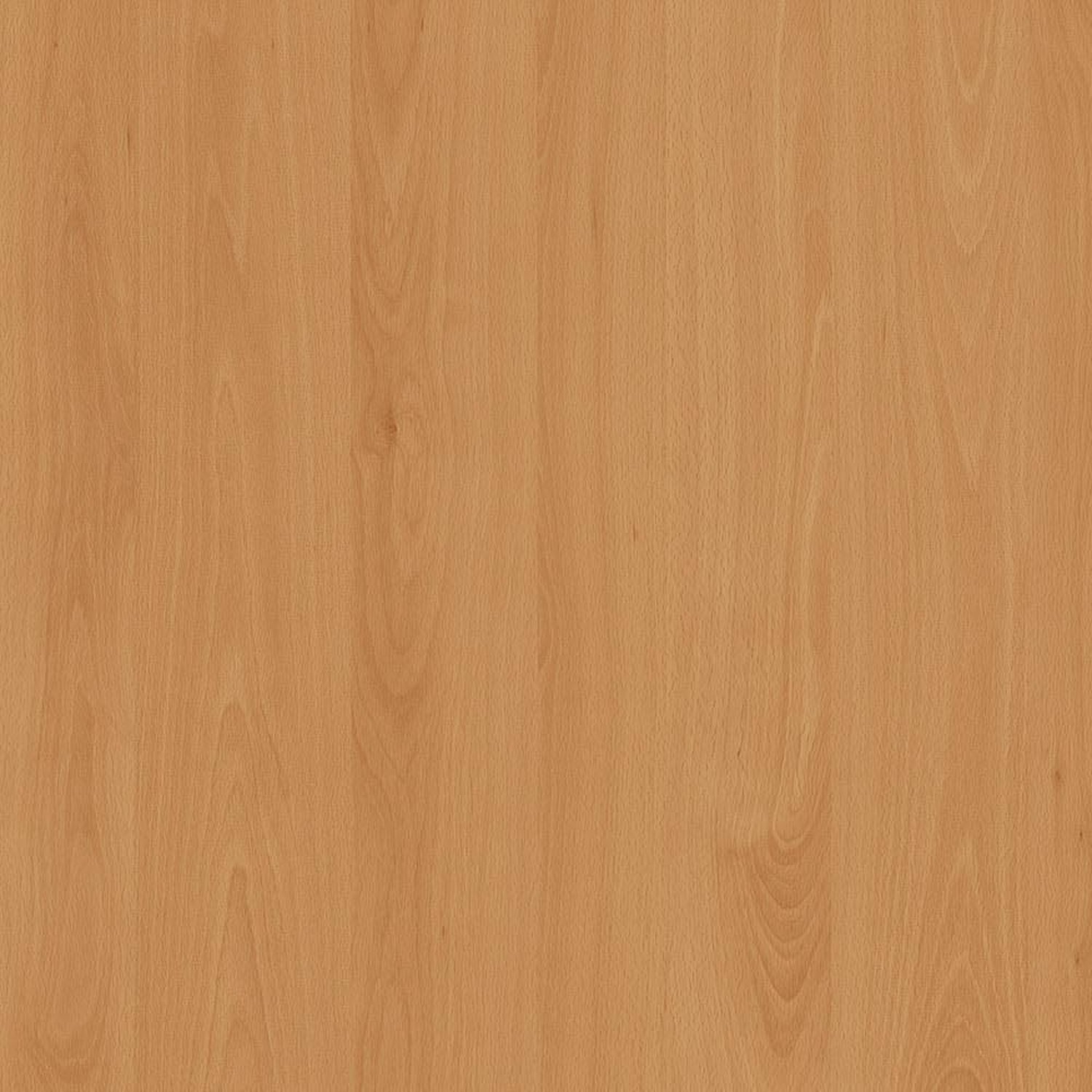 Mangfall Beech