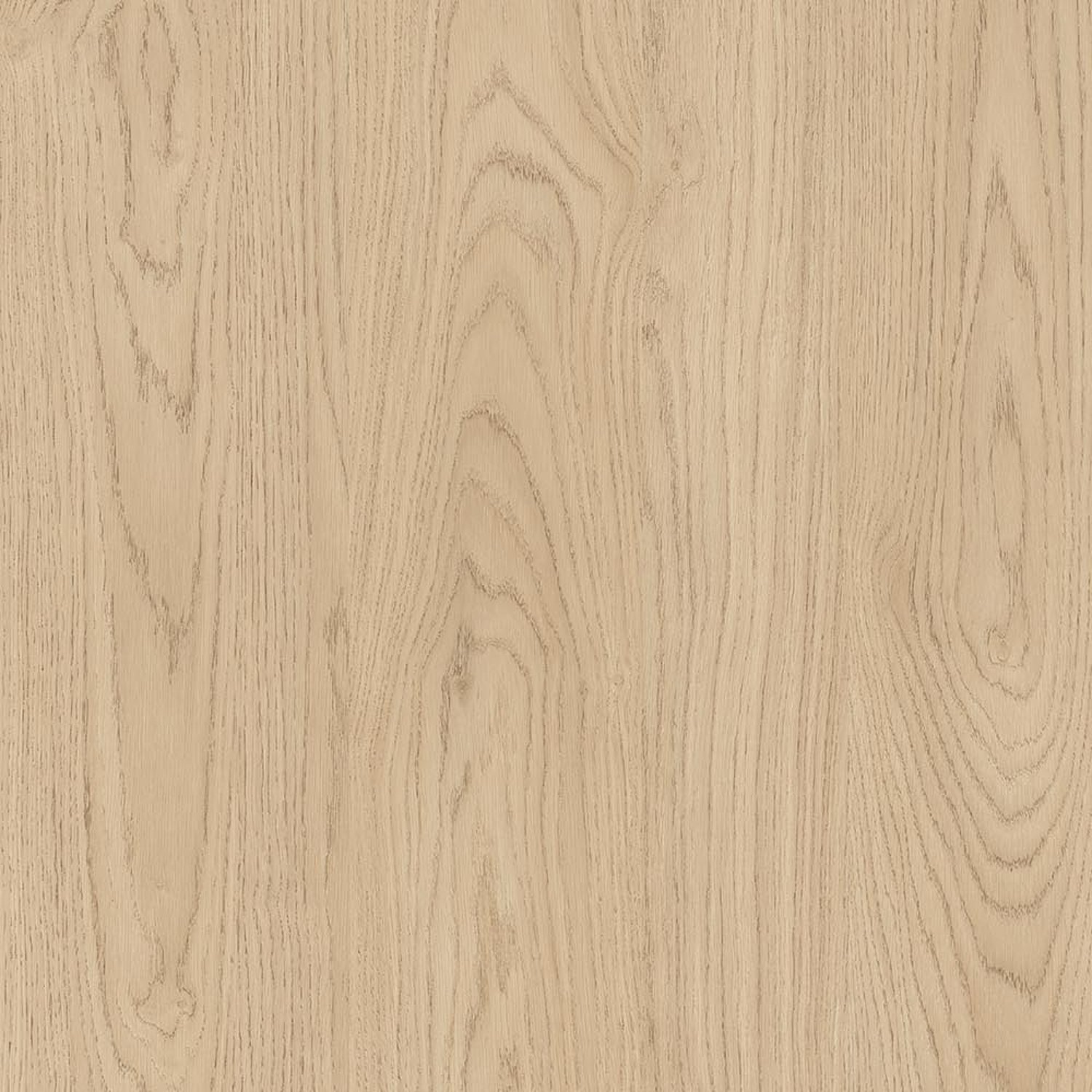 Vinovo Oak