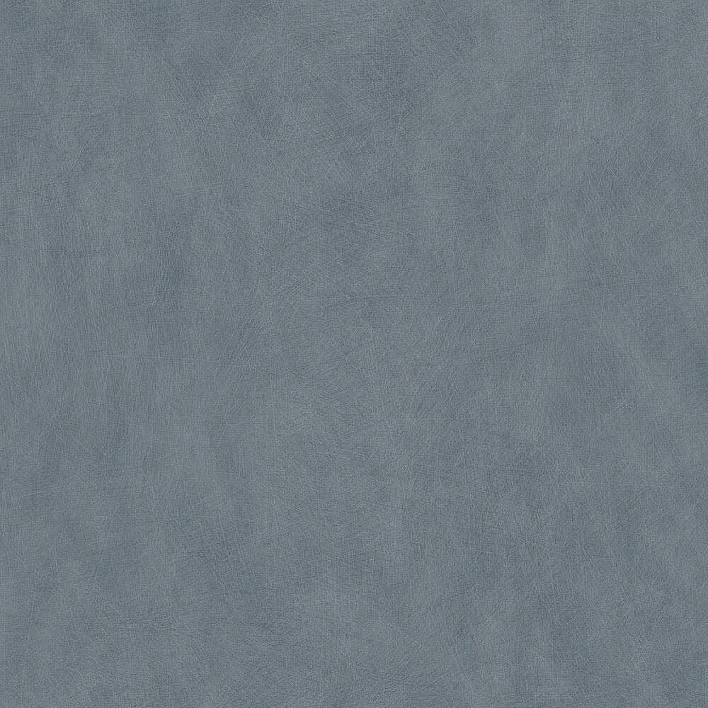 50079