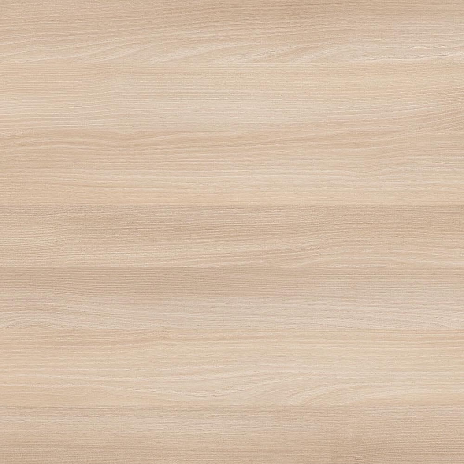 Acacia Donau traverso