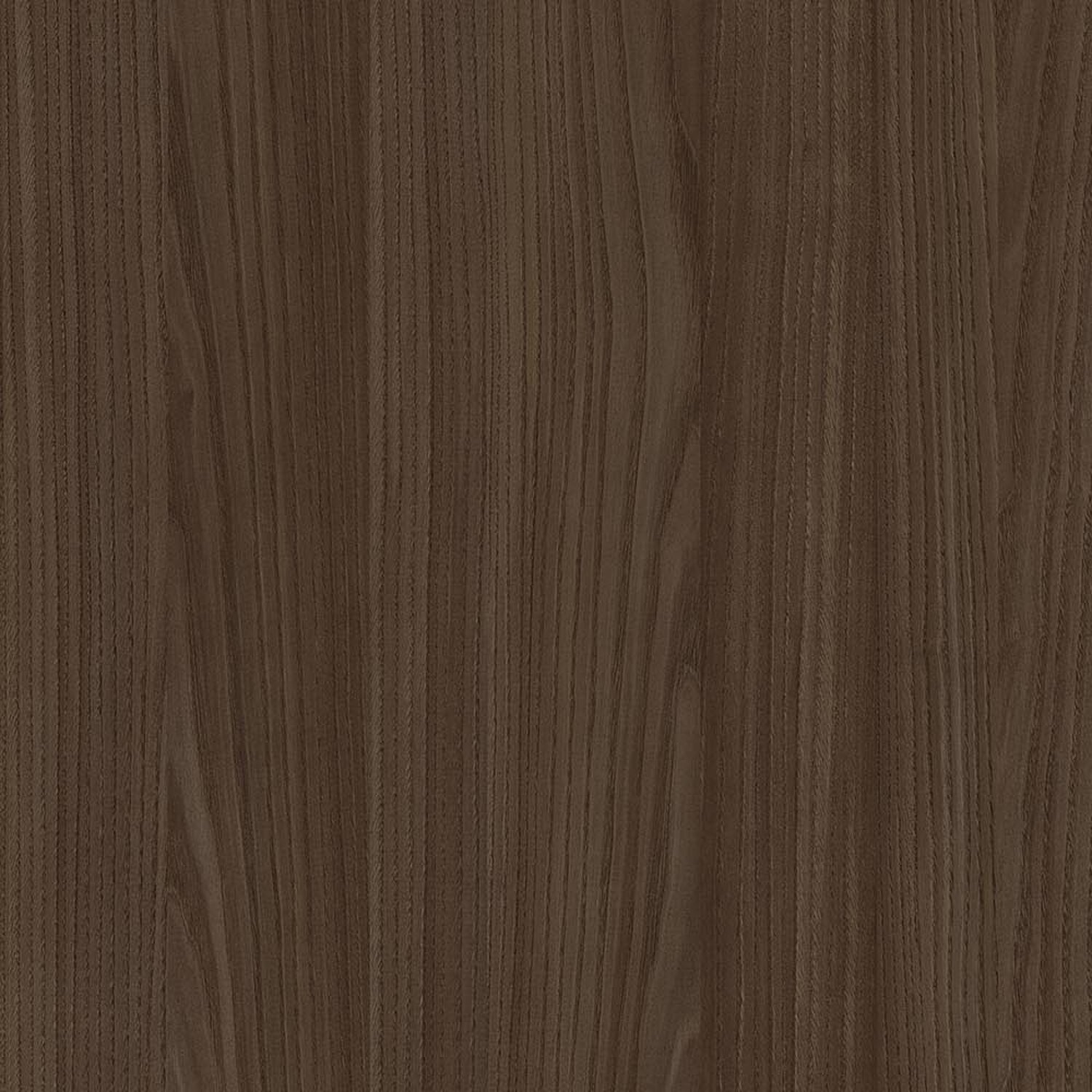 Gran Sasso Chestnut