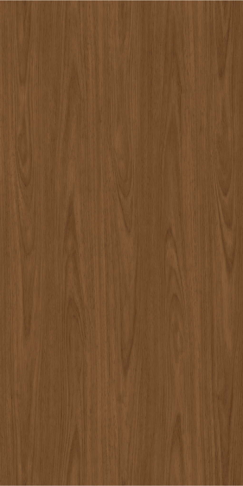 L226609_11_23105_GUADALUPE_E2_1_209.png