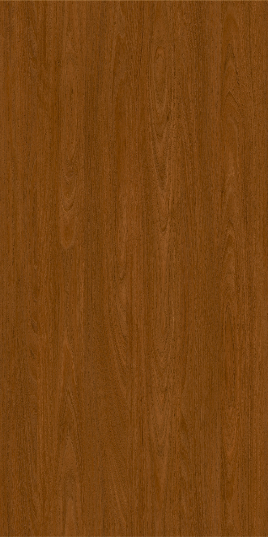 L227536_10_12190_ANDORRA_AKAZIE_111002861_1_301.png