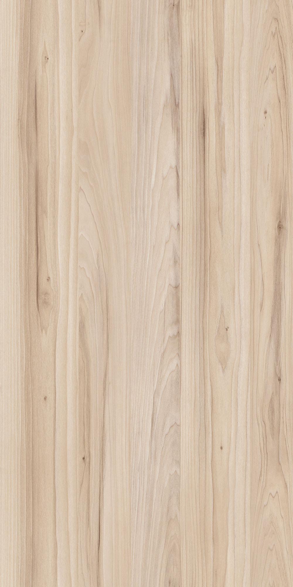 Schatt Schattdecor | Magnolia