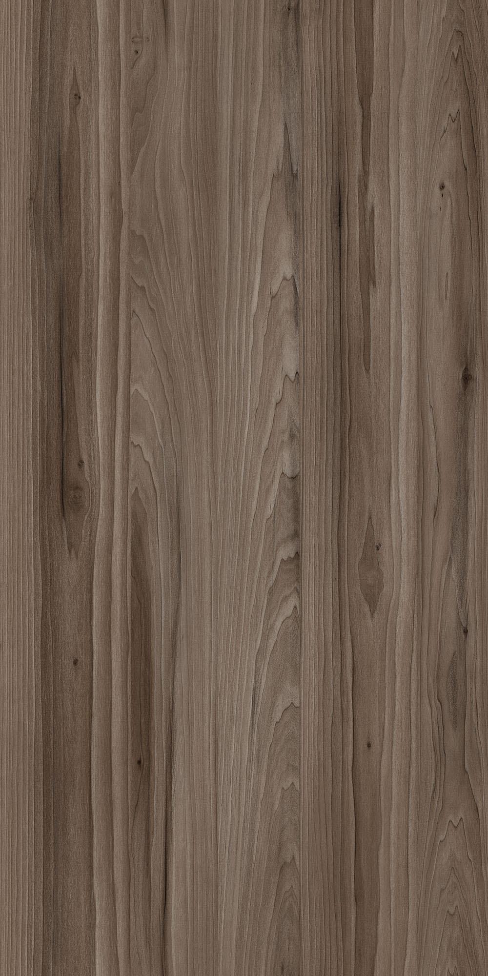 Schatt Schattdecor | Magnolia